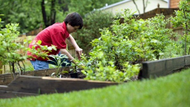 cute-young-boy-gardening-in-his-home-backyard-725×483
