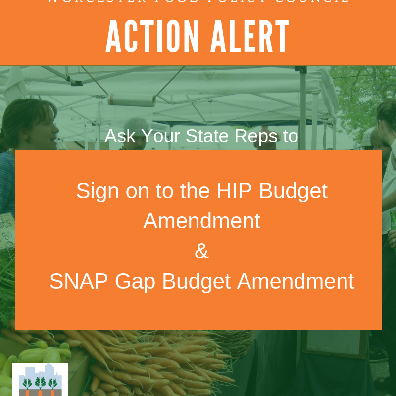 Facts About Seniors and Food Insecurity Worcester Food Policy Council